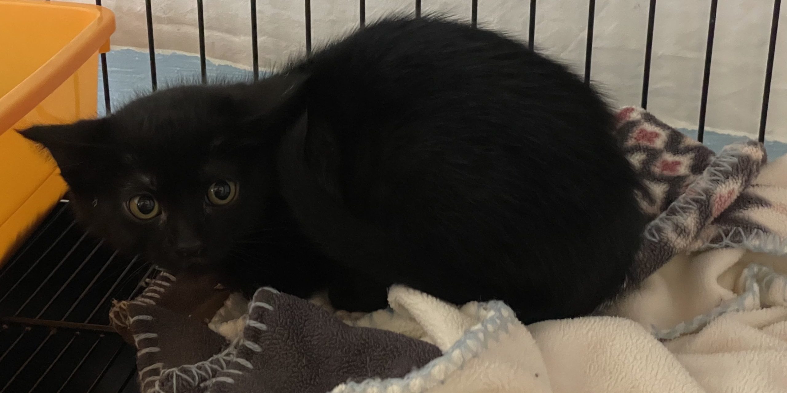 207A6AE7-74A3-4DFC-8DEB-89CF942D6E90