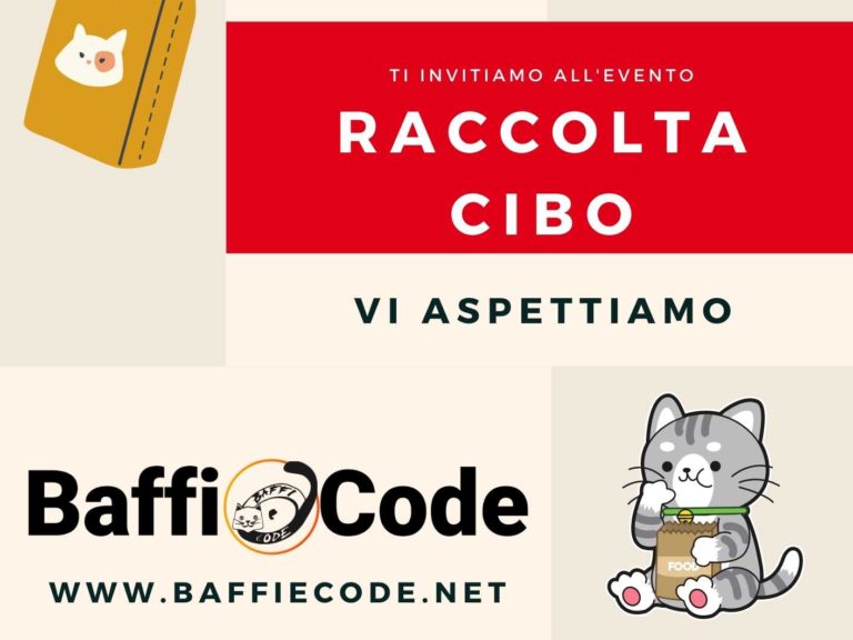Raccolta cibo