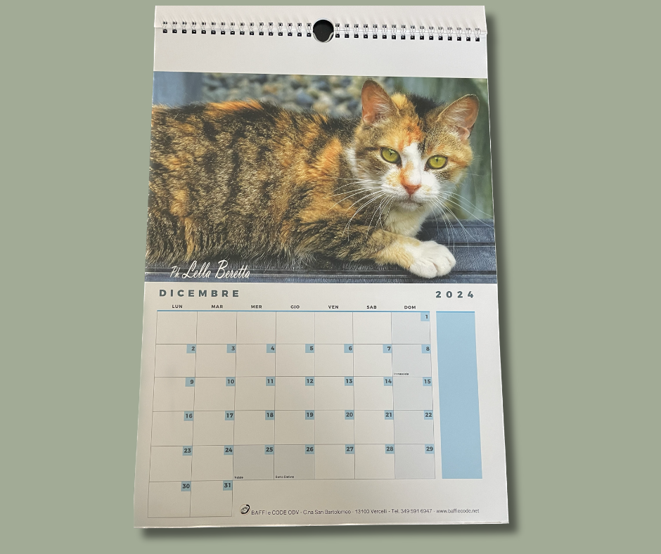 Comprare Calendario dei gatti in bianco e nero 2024? Ordina online in modo  semplice e veloce 